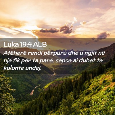 Picture 02 - Luka 19:4 ALB - Atëherë rendi përpara dhe u ngjit në një fik - Bible Verse Picture