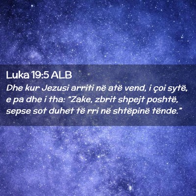 Picture 02 - Luka 19:5 ALB - Dhe kur Jezusi arriti në atë vend, i çoi - Bible Verse Picture
