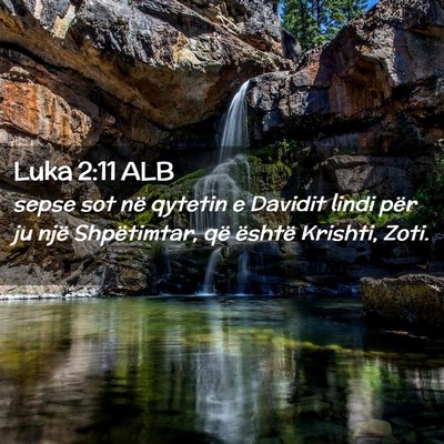 Picture 02 - Luka 2:11 ALB - sepse sot në qytetin e Davidit lindi për ju - Bible Verse Picture