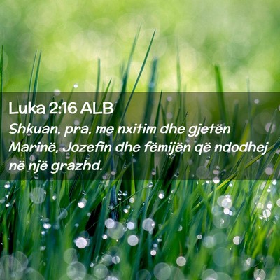 Picture 02 - Luka 2:16 ALB - Shkuan, pra, me nxitim dhe gjetën Marinë, - Bible Verse Picture