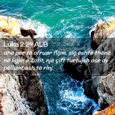 Picture 02 - Luka 2:24 ALB - dhe për të ofruar flijim, siç është thënë - Bible Verse Picture