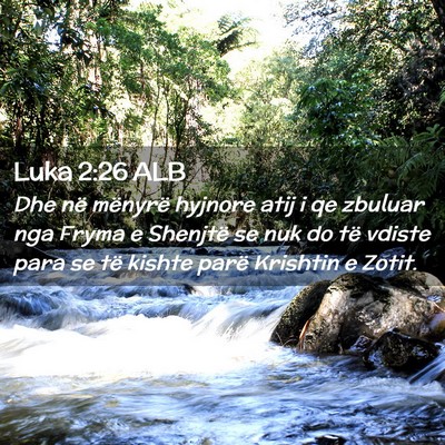Picture 02 - Luka 2:26 ALB - Dhe në mënyrë hyjnore atij i qe zbuluar nga - Bible Verse Picture