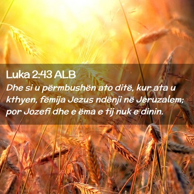 Picture 02 - Luka 2:43 ALB - Dhe si u përmbushën ato ditë, kur ata u - Bible Verse Picture