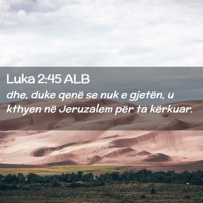 Picture 02 - Luka 2:45 ALB - dhe, duke qenë se nuk e gjetën, u kthyen në - Bible Verse Picture