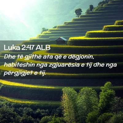 Picture 02 - Luka 2:47 ALB - Dhe të gjithë ata që e dëgjonin, habiteshin - Bible Verse Picture