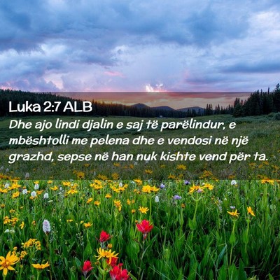 Picture 02 - Luka 2:7 ALB - Dhe ajo lindi djalin e saj të parëlindur, e - Bible Verse Picture