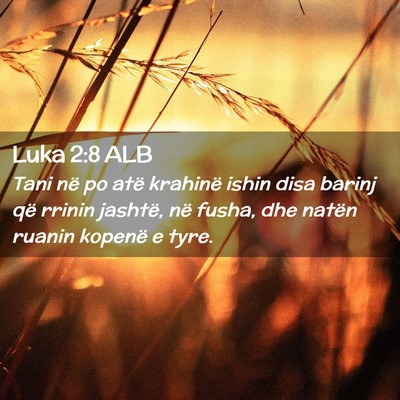 Picture 02 - Luka 2:8 ALB - Tani në po atë krahinë ishin disa barinj që - Bible Verse Picture