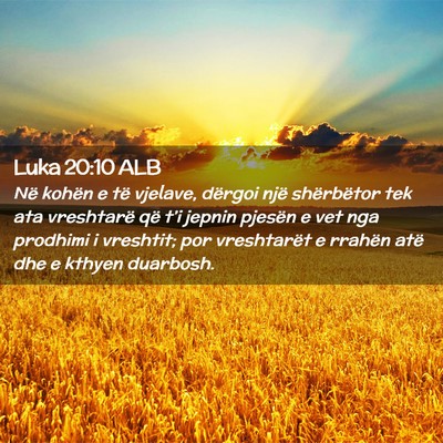 Picture 02 - Luka 20:10 ALB - Në kohën e të vjelave, dërgoi një - Bible Verse Picture