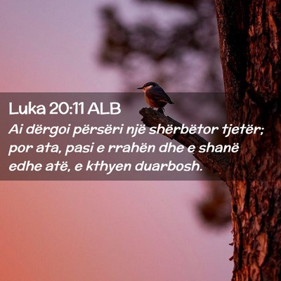 Picture 02 - Luka 20:11 ALB - Ai dërgoi përsëri një shërbëtor tjetër; - Bible Verse Picture