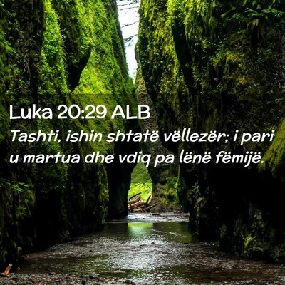 Picture 02 - Luka 20:29 ALB - Tashti, ishin shtatë vëllezër; i pari u martua - Bible Verse Picture