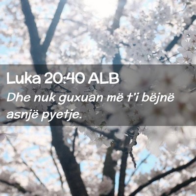 Picture 02 - Luka 20:40 ALB - Dhe nuk guxuan më t’i bëjnë asnjë - Bible Verse Picture