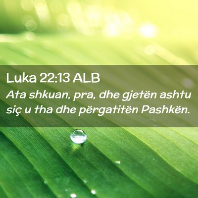 Picture 02 - Luka 22:13 ALB - Ata shkuan, pra, dhe gjetën ashtu siç u tha dhe - Bible Verse Picture