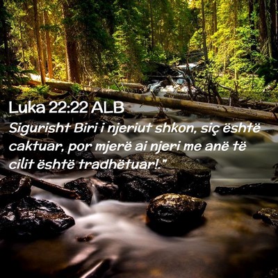 Picture 02 - Luka 22:22 ALB - Sigurisht Biri i njeriut shkon, siç është - Bible Verse Picture