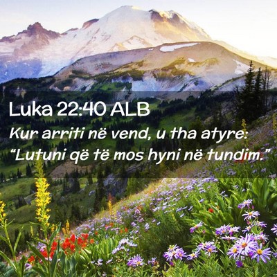 Picture 02 - Luka 22:40 ALB - Kur arriti në vend, u tha atyre: “Lutuni që - Bible Verse Picture