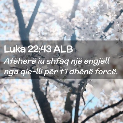 Picture 02 - Luka 22:43 ALB - Atëherë iu shfaq një engjëll nga qie-lli për - Bible Verse Picture