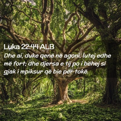 Picture 02 - Luka 22:44 ALB - Dhe ai, duke qenë në agoni, lutej edhe më - Bible Verse Picture