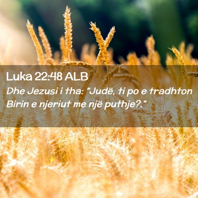 Picture 02 - Luka 22:48 ALB - Dhe Jezusi i tha: “Judë, ti po e tradhton - Bible Verse Picture
