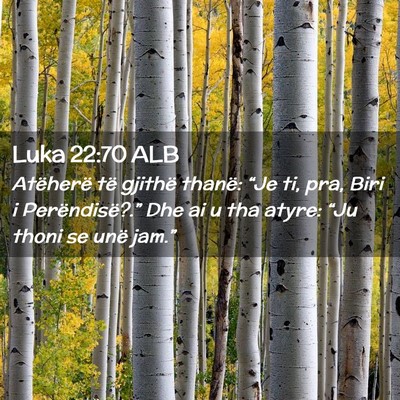 Picture 02 - Luka 22:70 ALB - Atëherë të gjithë thanë: “Je ti, pra, Biri - Bible Verse Picture