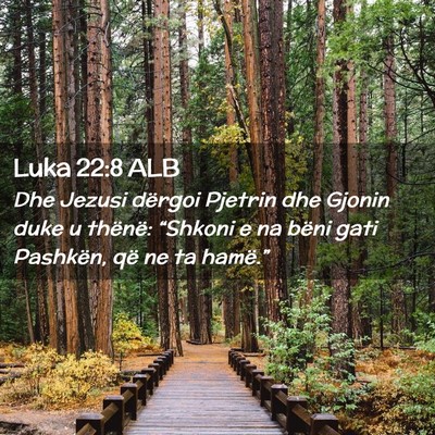 Picture 02 - Luka 22:8 ALB - Dhe Jezusi dërgoi Pjetrin dhe Gjonin duke u - Bible Verse Picture
