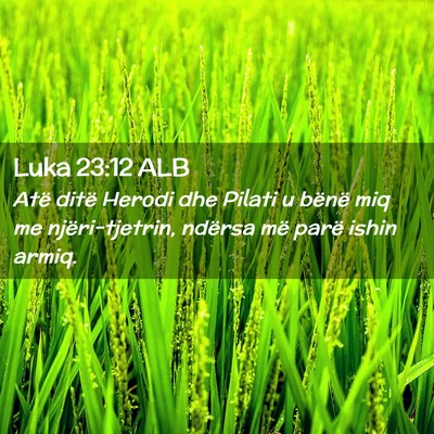 Picture 02 - Luka 23:12 ALB - Atë ditë Herodi dhe Pilati u bënë miq me - Bible Verse Picture