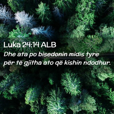 Picture 02 - Luka 24:14 ALB - Dhe ata po bisedonin midis tyre për të gjitha - Bible Verse Picture