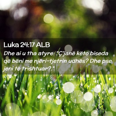Picture 02 - Luka 24:17 ALB - Dhe ai u tha atyre: “Ç’janë këto biseda - Bible Verse Picture