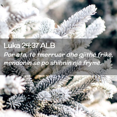 Picture 02 - Luka 24:37 ALB - Por ata, të tmerruar dhe gjithë frikë, - Bible Verse Picture