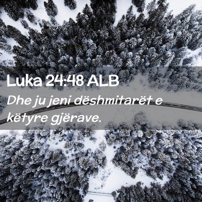 Picture 02 - Luka 24:48 ALB - Dhe ju jeni dëshmitarët e këtyre - Bible Verse Picture