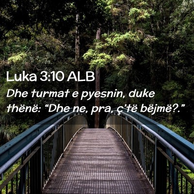 Picture 02 - Luka 3:10 ALB - Dhe turmat e pyesnin, duke thënë: “Dhe ne, - Bible Verse Picture