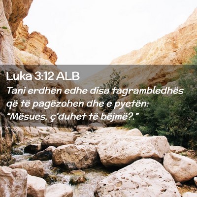 Picture 02 - Luka 3:12 ALB - Tani erdhën edhe disa tagrambledhës që të - Bible Verse Picture