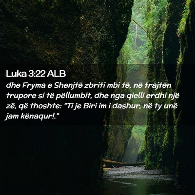 Picture 02 - Luka 3:22 ALB - dhe Fryma e Shenjtë zbriti mbi të, në trajtën - Bible Verse Picture
