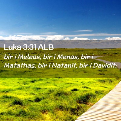 Picture 02 - Luka 3:31 ALB - bir i Meleas, bir i Menas, bir i Matathas, bir i - Bible Verse Picture