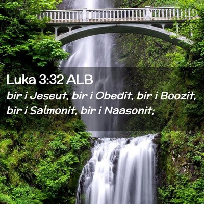 Picture 02 - Luka 3:32 ALB - bir i Jeseut, bir i Obedit, bir i Boozit, bir i - Bible Verse Picture