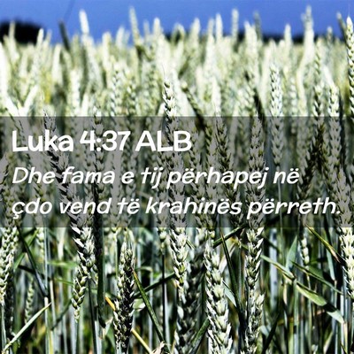 Picture 02 - Luka 4:37 ALB - Dhe fama e tij përhapej në çdo vend të - Bible Verse Picture