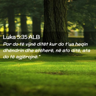 Picture 02 - Luka 5:35 ALB - Por do të vijnë ditët kur do t’ua heqin - Bible Verse Picture