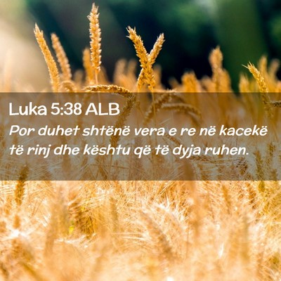 Picture 02 - Luka 5:38 ALB - Por duhet shtënë vera e re në kacekë të rinj - Bible Verse Picture