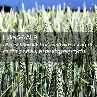 Picture 02 - Luka 5:6 ALB - Dhe, si bënë kështu, zunë një sasi aq të - Bible Verse Picture