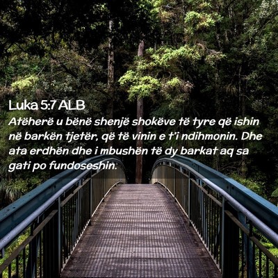 Picture 02 - Luka 5:7 ALB - Atëherë u bënë shenjë shokëve të tyre që - Bible Verse Picture