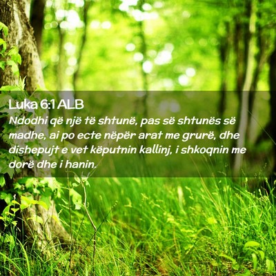 Picture 02 - Luka 6:1 ALB - Ndodhi që një të shtunë, pas së shtunës së - Bible Verse Picture