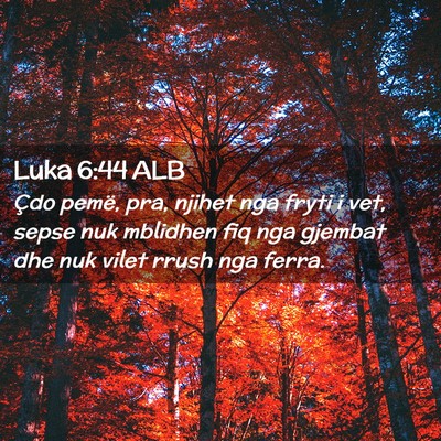 Picture 02 - Luka 6:44 ALB - Çdo pemë, pra, njihet nga fryti i vet, sepse - Bible Verse Picture