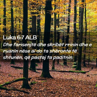 Picture 02 - Luka 6:7 ALB - Dhe farisenjtë dhe skribët rrinin dhe e ruanin - Bible Verse Picture