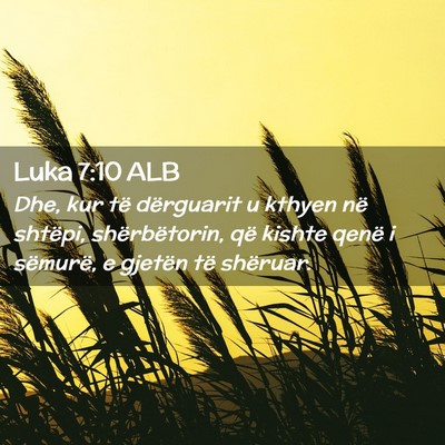 Picture 02 - Luka 7:10 ALB - Dhe, kur të dërguarit u kthyen në shtëpi, - Bible Verse Picture