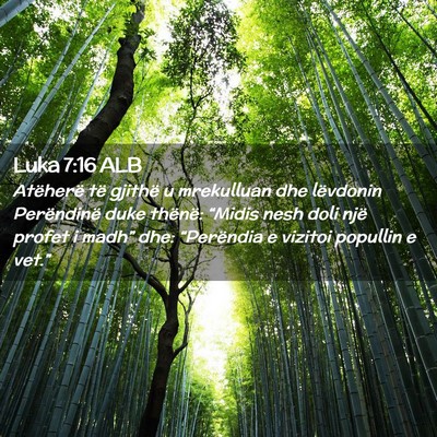 Picture 02 - Luka 7:16 ALB - Atëherë të gjithë u mrekulluan dhe lëvdonin - Bible Verse Picture