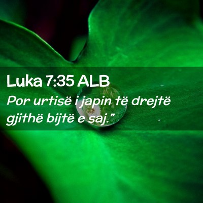 Picture 02 - Luka 7:35 ALB - Por urtisë i japin të drejtë gjithë bijtë e - Bible Verse Picture