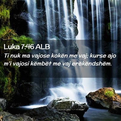 Picture 02 - Luka 7:46 ALB - Ti nuk ma vajose kokën me vaj; kurse ajo m’i - Bible Verse Picture