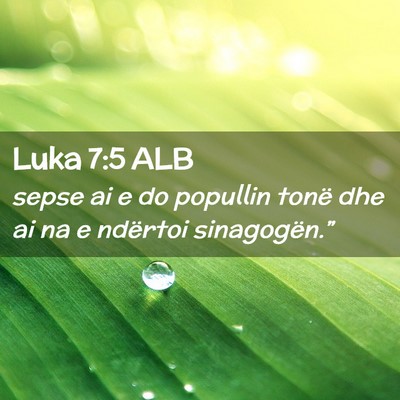Picture 02 - Luka 7:5 ALB - sepse ai e do popullin tonë dhe ai na e ndërtoi - Bible Verse Picture