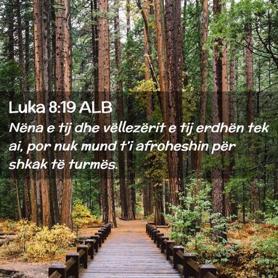 Picture 02 - Luka 8:19 ALB - Nëna e tij dhe vëllezërit e tij erdhën tek - Bible Verse Picture