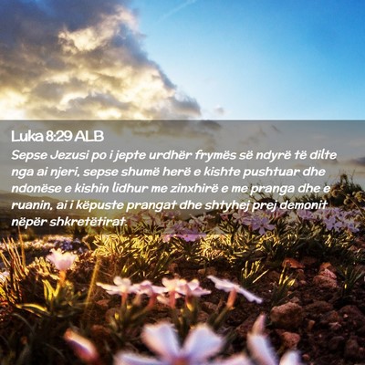 Picture 02 - Luka 8:29 ALB - Sepse Jezusi po i jepte urdhër frymës së - Bible Verse Picture