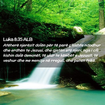 Picture 02 - Luka 8:35 ALB - Atëherë njerëzit dolën për të parë - Bible Verse Picture
