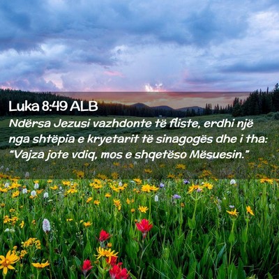 Picture 02 - Luka 8:49 ALB - Ndërsa Jezusi vazhdonte të fliste, erdhi një - Bible Verse Picture